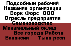 Подсобный рабочий › Название организации ­ Ворк Форс, ООО › Отрасль предприятия ­ Семеноводство › Минимальный оклад ­ 30 000 - Все города Работа » Вакансии   . Тыва респ.